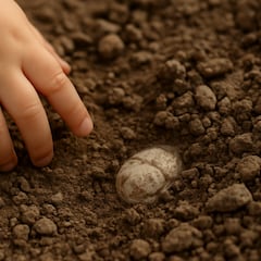 A 3-year-old girl went for a walk with her parents in Israel and found a “beautiful stone” that turned out to be a treasure from 3,800 years ago