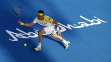 Ferrer, durante su partido ante Tipsarevic.