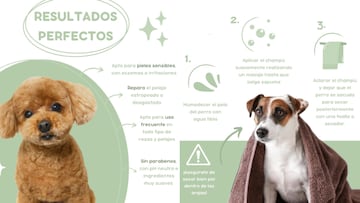 Especificaciones del champ para perro con aloe vera disponible en Amazon.