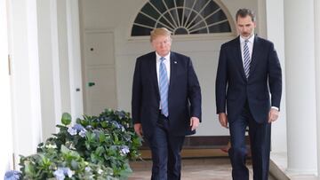 El Rey Felipe VI y Donald Trump hablan durante la visita de los Reyes de Espa&ntilde;a a Estados Unidos en junio de 2018.