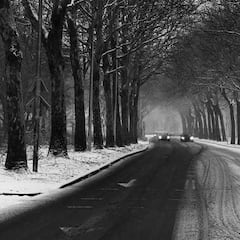 4 neumáticos de invierno que debes tener en cuenta