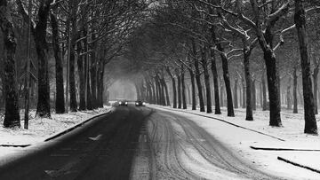 4 neumáticos de invierno que debes tener en cuenta