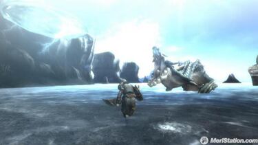Monster Hunter Tri, Impresiones