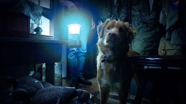 The big question about one of the horror movies of the year has been answered: Does the dog die in ‘Good Boy’?