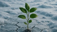 Russian scientists revive a 32,000-year-old extinct plant with seeds found in Siberian permafrost