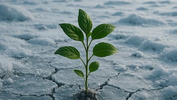 Russian scientists revive a 32,000-year-old extinct plant with seeds found in Siberian permafrost