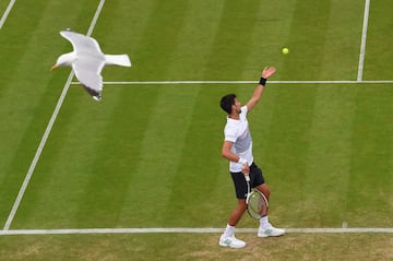 Djokovic durante el partido de semifinales del torneo de Eastbourne (Inglaterra) en el que se impuso a al ruso Medvedev.