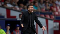 Diego Simeone, durante el partido contra el Oporto en Champions.