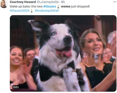 Cillian Murphy, protagonista de los mejores memes de los Oscar