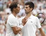 Who has won more Wimbledon titles Federer, Nadal or Djokovic?