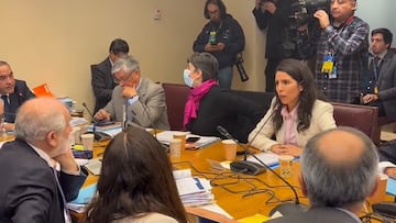 “Títere de Boric”: senadora Gatica increpó a ministro Montes y se armó una fuerte discusión