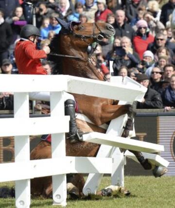 El jinete alemán, Stefan Jensen y su caballo 'Carentus' chocan contra un obstáculo durante el Derby de Saltos en Hamburgo, Alemania. 