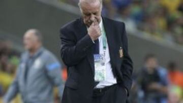 El seleccionador espa&ntilde;ol Vicente del Bosque durante la final de la Copa Confederaciones 2013 ante Brasil 