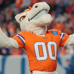 NFL mascot salaries revealed: These are the highest and lowest earners in the league