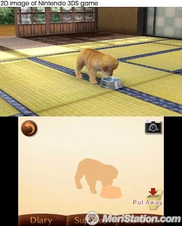 Captura de pantalla - nintendogs_japaneseroom_retriever_drinking_uk.jpg