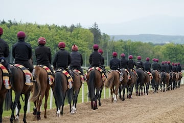 El condado de Tipperary (Irlanda) alberga las instalaciones de Ballydoyle, un centro de entrenamiento de caballos de carreras, propiedad de John Magnier, dirigido por el preparador de purasangres Aidan O*Brien. En la
imagen, un grupo de caballos trota en fila de a uno por las instalaciones de la finca durante un entrenamiento.