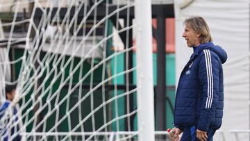 La polémica decisión de Gareca