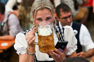 Solo cerveza de Múnich. En el Oktoberfest hay seis cervecerías oficiales, que son Paulaner, Augustiner, Spaten-Franziskaner, Hofbräu, Hacker-Pschorr y Löwenbräu.