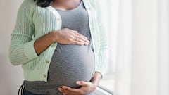 Bono $29.905 de ANSES para mujeres embarazadas: fechas, requisitos y cómo solicitar