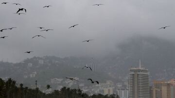 Depresión Tropical Seis-E: Pronósticos y qué estados serán afectados