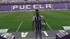 El césped de Zorrilla ya está casi perfecto