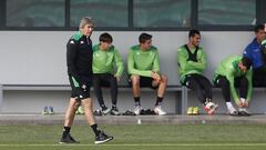 Pellegrini, durante un entrenamiento. 