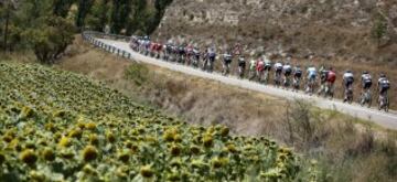 El pelotón durante la decimotercera etapa de la Vuelta Ciclista a España 2014, que ha transcurrido entre Belorado (Burgos) y el Parque de Cabárceno (Cantabria) con un recorrido de 188,7 kilómetros. 