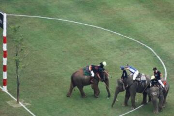 El partido de Polo sobre elefantes en Tailandia