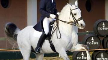 <b>BELLEZA. </b>Caballos como 'Norte', montado por José García Mena, se juegan buena parte de sus opciones de clasificación a los JJ. OO. de Londres en Montenmedio.