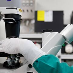 El CSIC confía tener una vacuna española con inmunidad más "duradera" y antes un antiviral