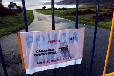 Una invasi車n de carabelas portuguesas obliga a cerrar las playas en Galicia