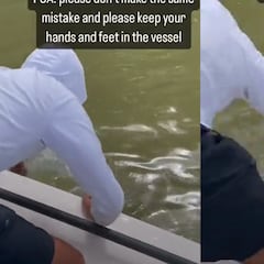 Fisherman attacked by shark in Florida Everglades