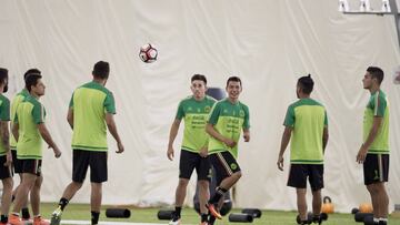 El Tri enfrentará a Nueva Zelanda y Guatemala en duelos amistosos