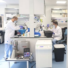 Un investigador del CSIC anuncia cuándo llegarán las vacunas españolas