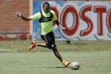 Intensidad y trabajo en el entrenamiento verdolaga