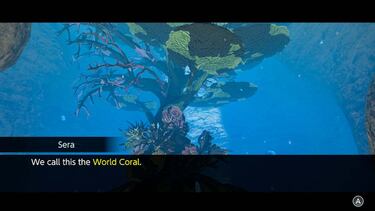 Endless Ocean Luminous: para sacar a tu biólogo marino interno