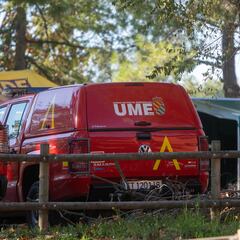 España despliega la UME en Cataluña por el brote de peste porcina africana: el origen podría ser un bocadillo en mal estado