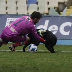 Magallanes gana hasta con ayuda perruna y se acerca al ascenso