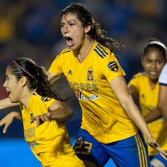Tigres quiere vencer a Necaxa y llegar a la liguilla invicto