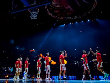 Final del Eurobasket 2015, España - Francia.