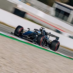 Alonso doma a la fiera