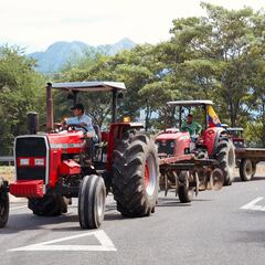 Una lucha de más de 50 años: los dueños de las empresas que más arroz venden en Colombia