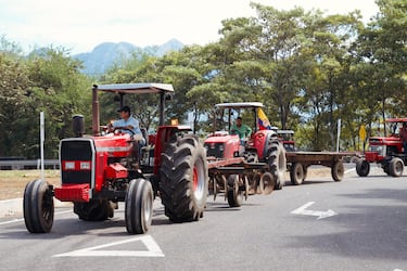 Así van las negociaciones por el paro arrocero en Colombia: cuándo se podría reanudar la actividad