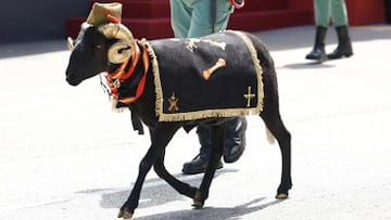 Imagen de Baraka, la emblemática mascota que desfilará junto a la Legión en el tradicional desfile militar del Día de la Fiesta Nacional.