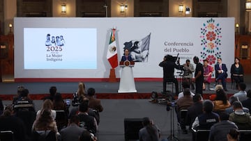 Presidenta de México celebra que por primera vez en la historia reciente de México un líder indígena llegará a la Corte.