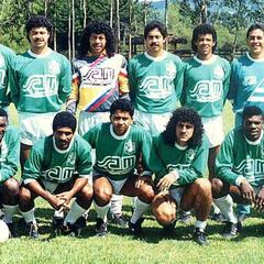 Nacional 1989: "Los puros criollos" de la Libertadores