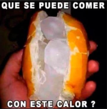 Los mejores memes para sobrellevar las altas temperaturas