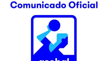 ASOBAL "lamenta" que la RFEBM quiera "reabrir" el debate sobre el inicio de la Liga