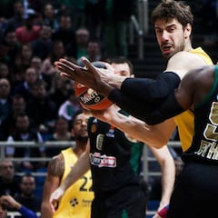 Tomic: "Lo mejor por la salud de los jugadores era la cancelación"