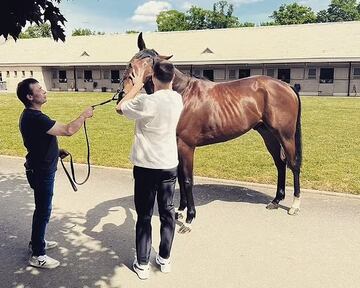 El caballo de Antoine Griezmann | DailyMail